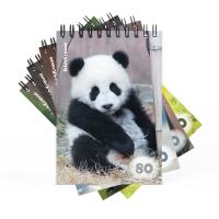    ErichKrause , 6, 80 , _MIX-PACK