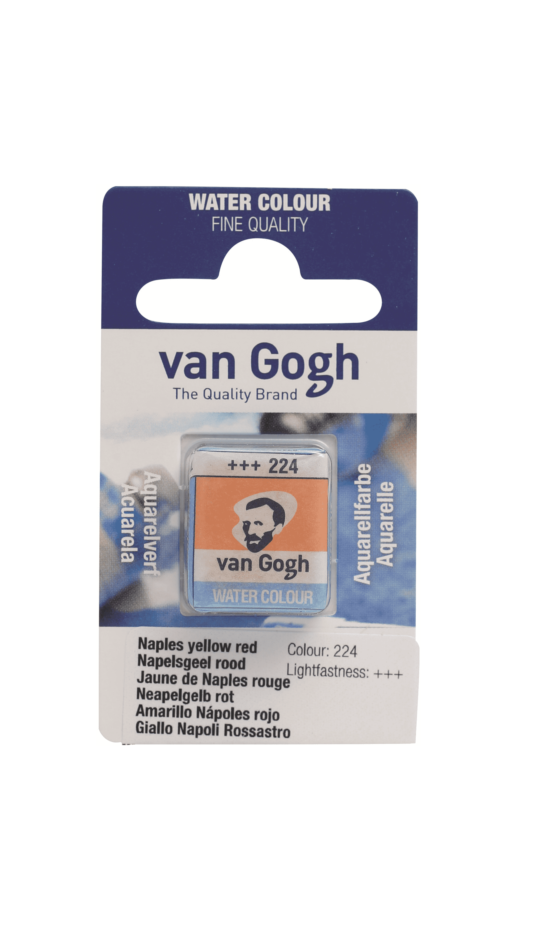  Van Gogh  593  - new