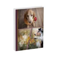 ���������� 36 ���� 10*15��, ArtSpace 