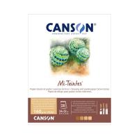 CANSON Mi-Teintes  20 , 24x32, 160 , BROWN