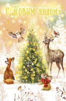 � ����� �����