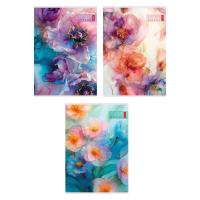  80 4  65/.   3 .     Soft-touch  - -