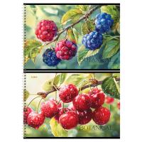 ������ ��� ��������� 32�., �4, �� ������ BG 