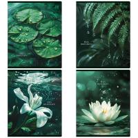 ������� 48�., �5, ������ BG 