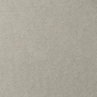 LANA Бумага для пастели «Lana Colours», 160 г/м?, 70х100 см, 10 л, холодный серый