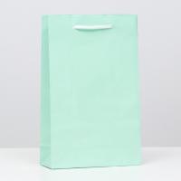 Пакет подарочный 26,5 х 16,5 х 7 см, зеленый, ламинированный