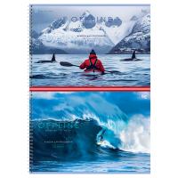 ������ ��� ��������� 32�., �4, �� ������ BG 