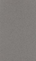LANA Бумага для пастели «Lana Colours», 160 г/м?, 42х29,7 см, 25 л, стальной серый