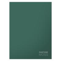  4 120.   . .  - ..   , 