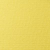 LANA Бумага для пастели, 50х65, светло-желтый