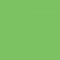 FOLIA Бумага цветная, 300 г/м2, 50х70 см, 10 л, светло-зеленый