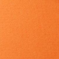 LANA Бумага для пастели, 160г, 21х29,7, оранжевый