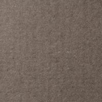 LANA Бумага для пастели «Lana Colours», 160 г/м?, 70х100 см, 10 л, темно-серый