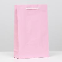 Пакет подарочный 26,5 х 16,5 х 7 см, розовый, ламинированный