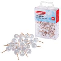  - BRAUBERG CLEAR & GOLD,    (), 100 , 11 , 27