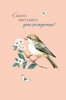 �������� ��� � ������ 