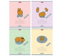  12 5  65/.    4 .  .  -  -