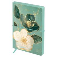 ���������� ������������ 2026�., �6+, 176�., ������ ��������, ������, BG 