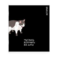   . / 16  ۻ  /48 ., 5+, . - ,  , 