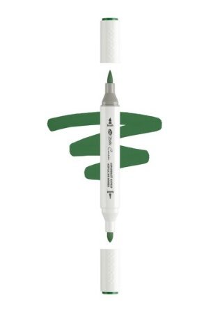 ������ ��������� ������������ 