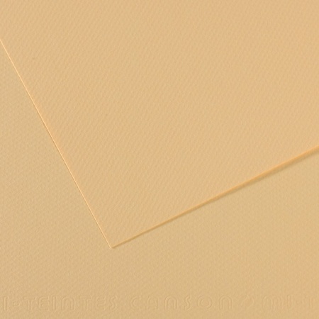 CANSON Mi-Teintes ������ ��� ������� 160�/�.�� 50*65�� �407 �������� 10�/����