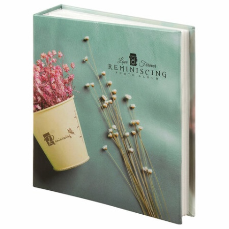 ���������� BRAUBERG 