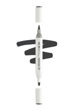 ������ ��������� ������������ 