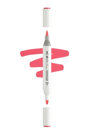 ������ ��������� ������������ 