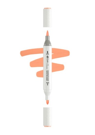 ������ ��������� ������������ 