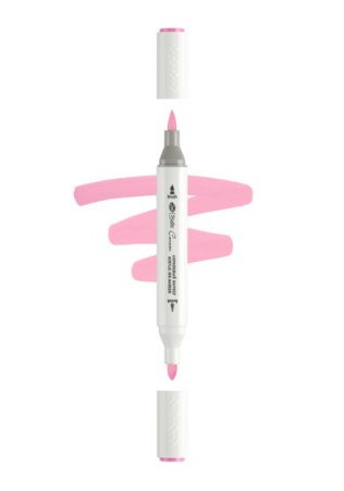 ������ ��������� ������������ 