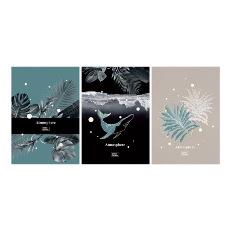 ������� 80�., �4, ������ BG 